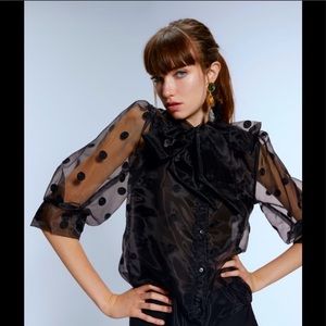 Zara black organza bow polka dot embroided blouse